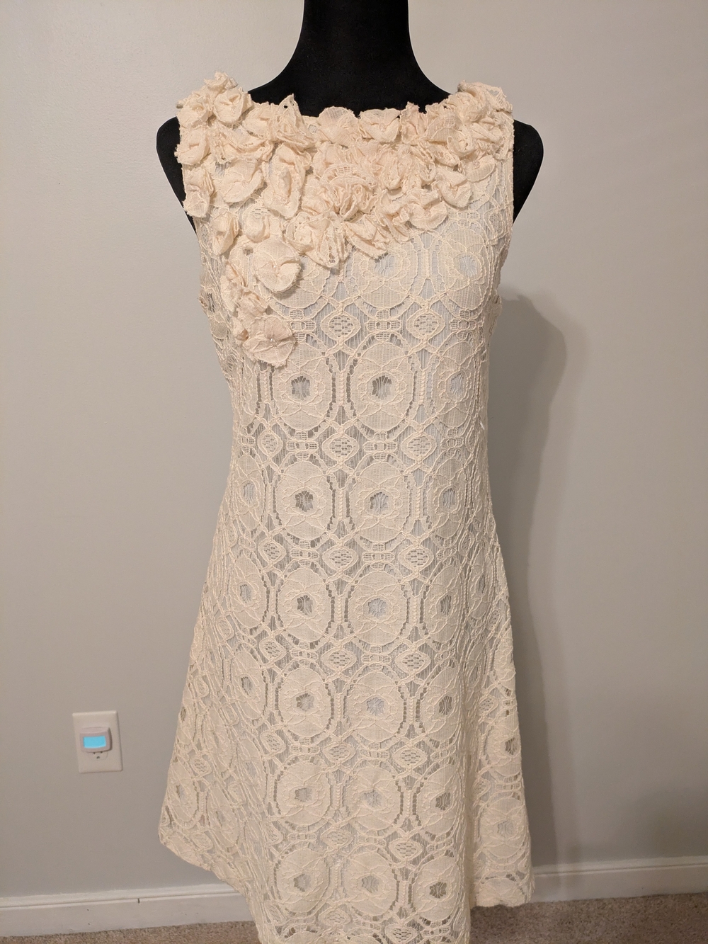 Ronni Nicole Cream Lace A-Line Midi Dress with 3D Floral Neckline Size 6